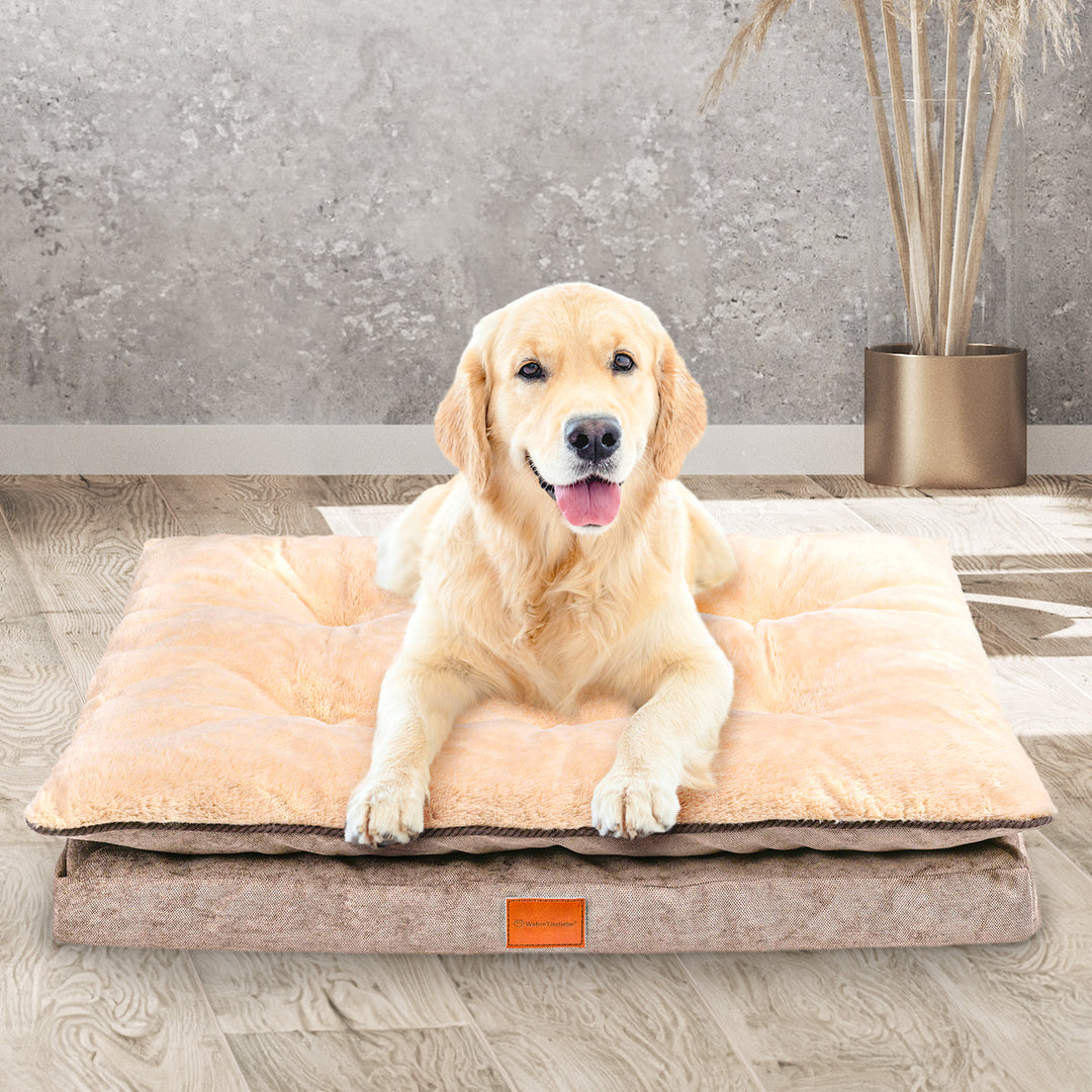 Orthopädisches Hundekissen "Easy"