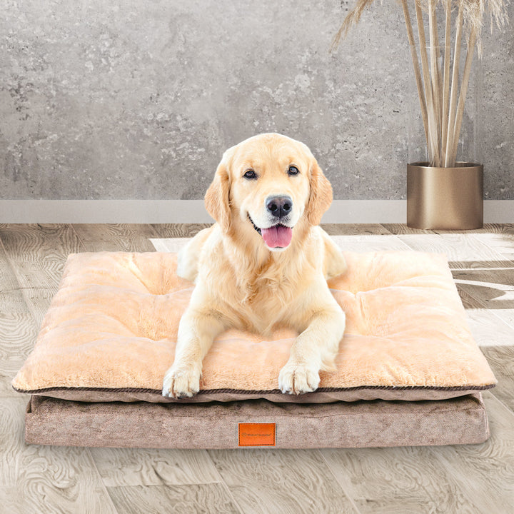 Orthopädisches Hundekissen "Easy"