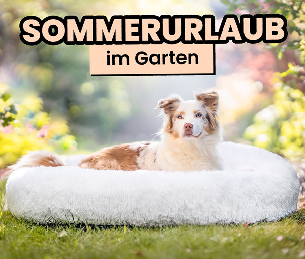 Hund genießt den Sommer im Garten