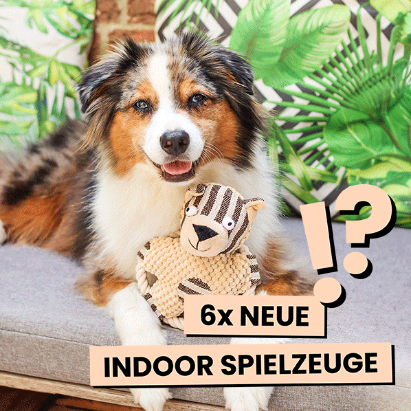 Indoor-Hundespielzeug gegen Langeweile
