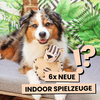 6x neue Indoor Hunde Spielzeuge