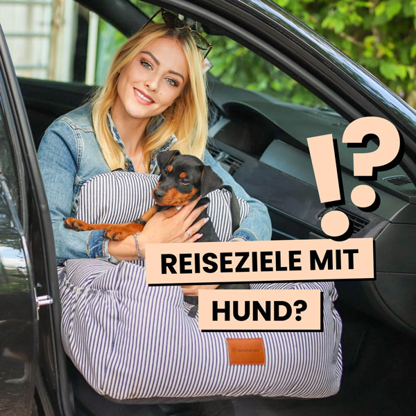 Urlaub mit Hund in Europa – Hund am Reiseziel