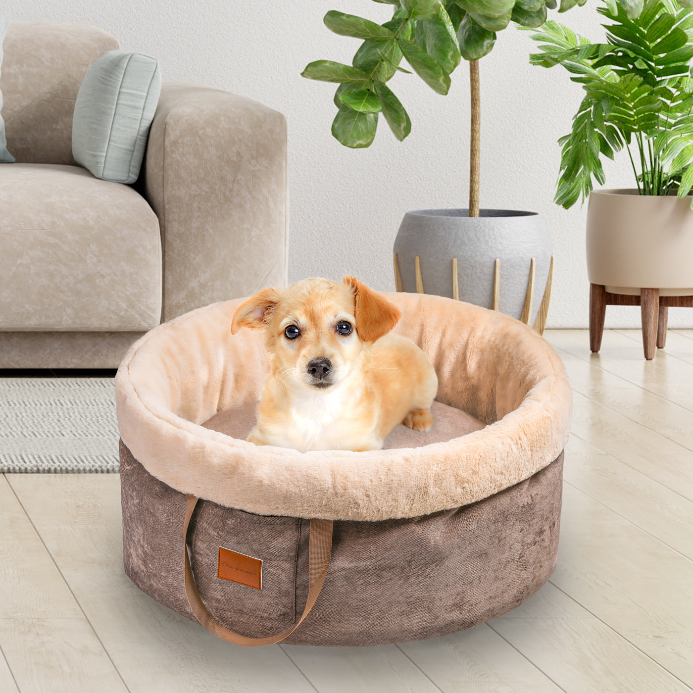 Orthopädischer Hundekorb "Easy"