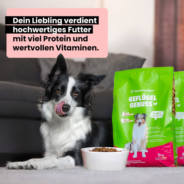 Premium Hundefutter 