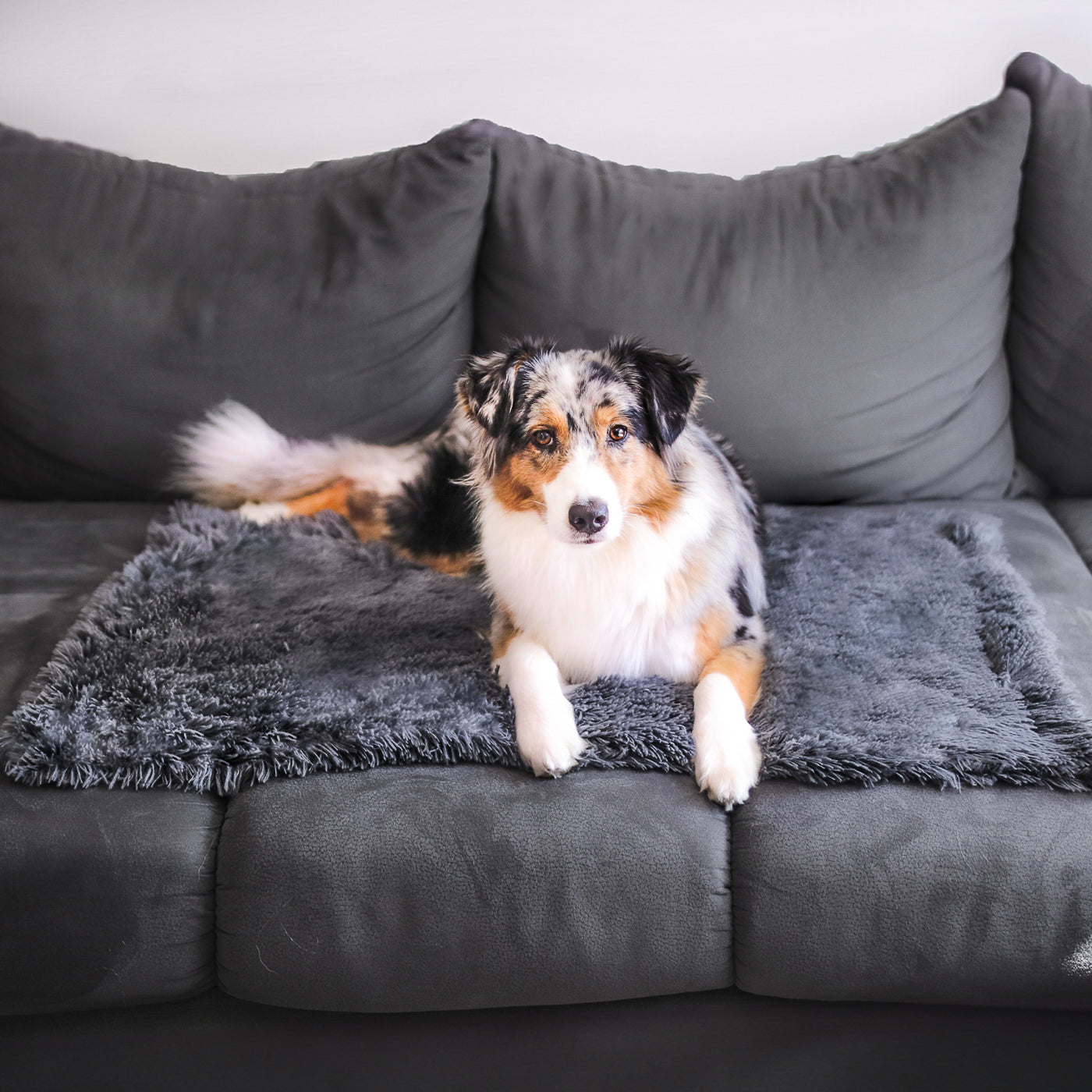 Premium Kuscheldecke "Fluffy"