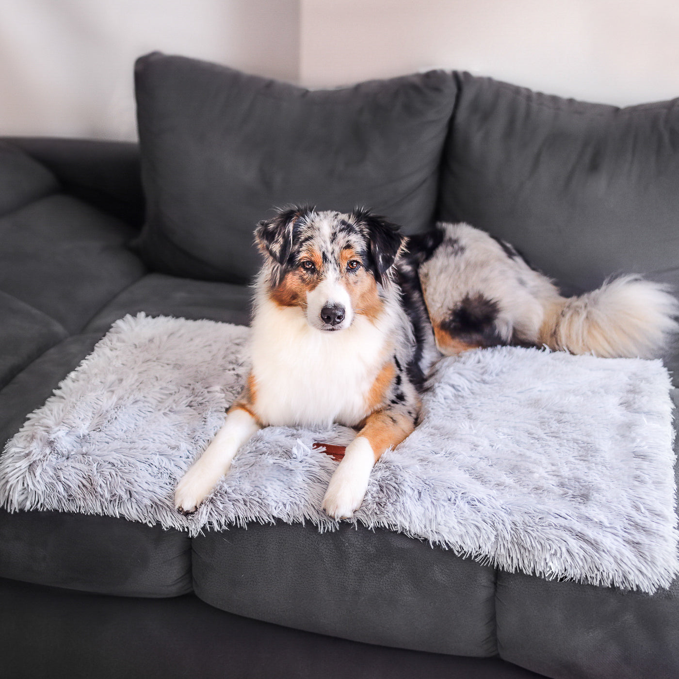 Premium Kuscheldecke "Fluffy"