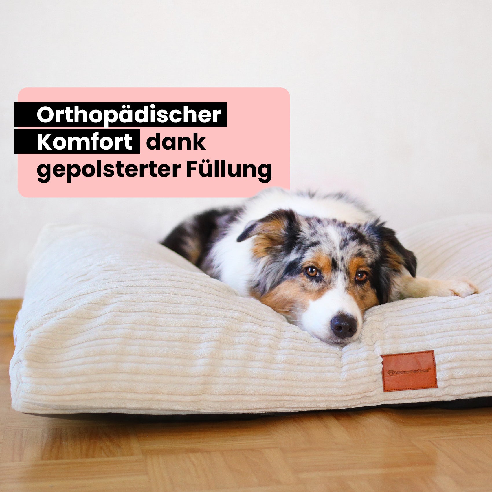 Premium Hundekissen "Cozy"