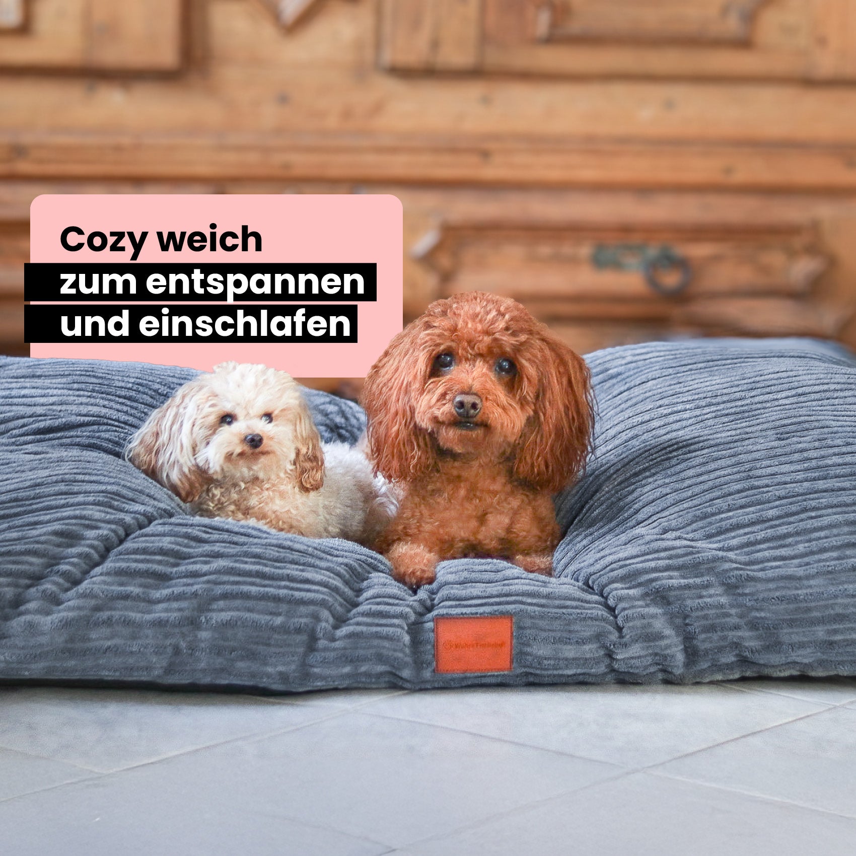 Premium Hundekissen "Cozy"