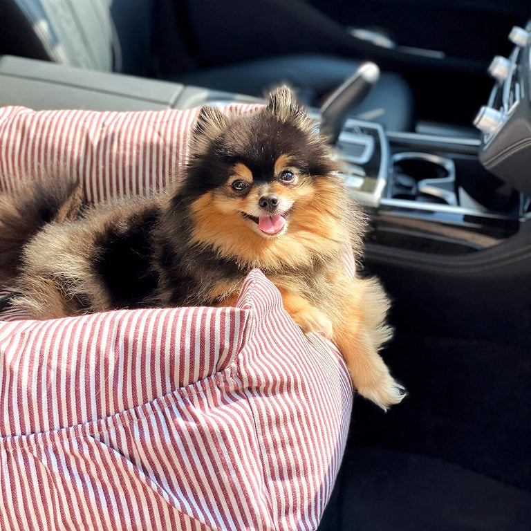 Premium Hunde Autositz inkl. Sicherheitsgurt