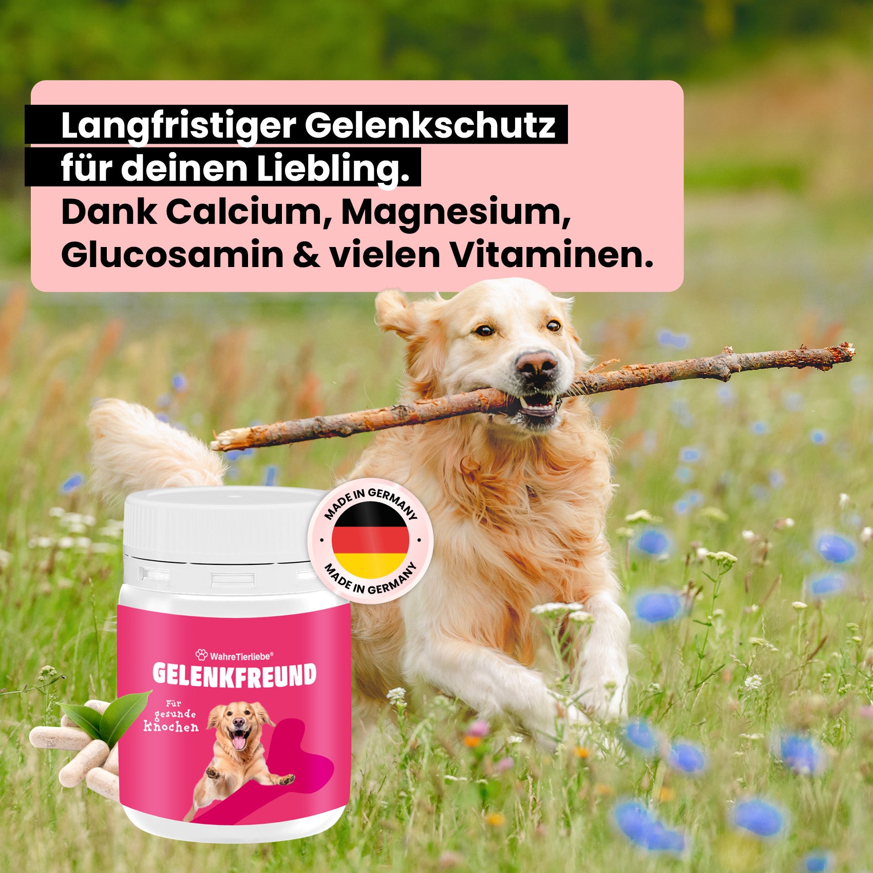 Premium Gelenktabletten