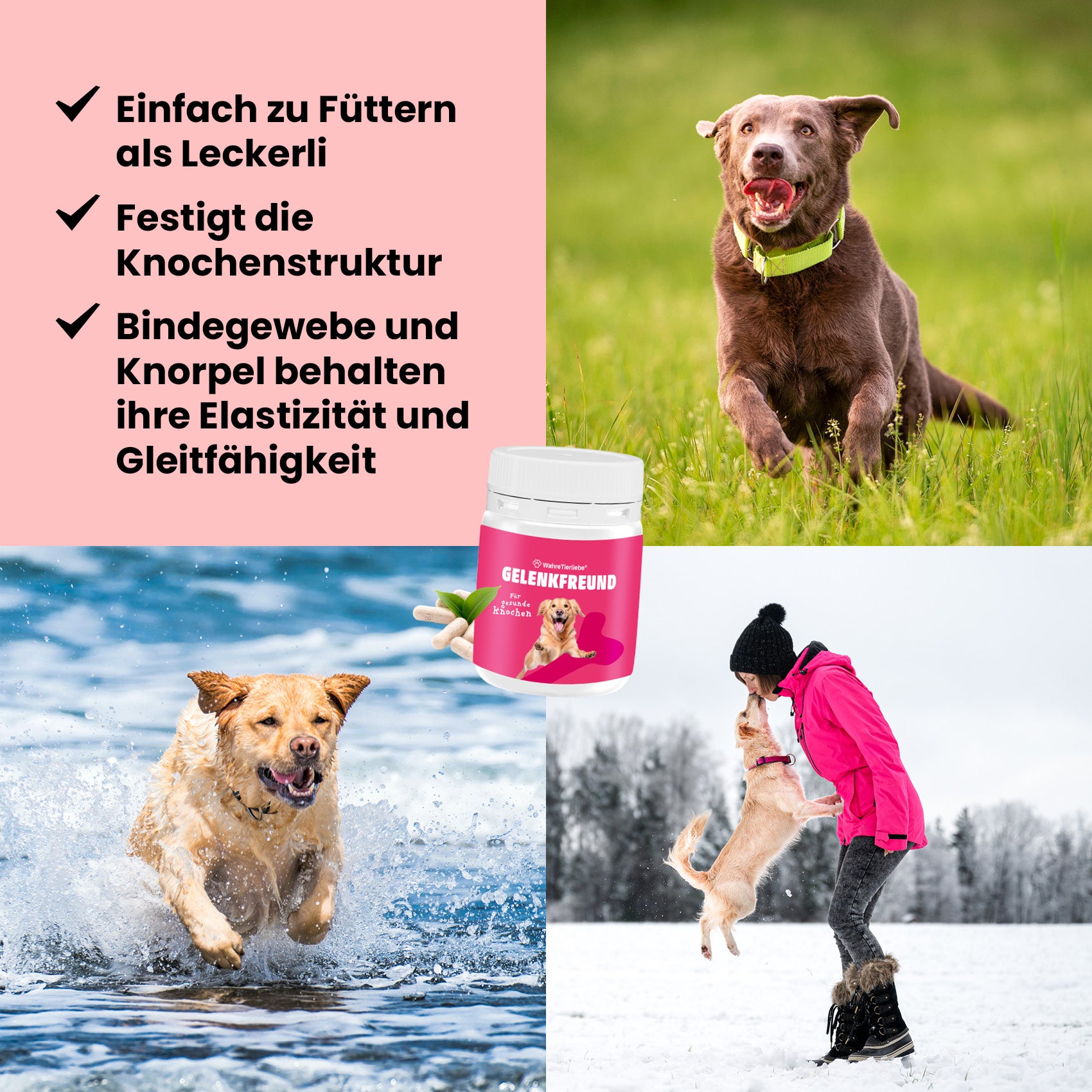 Premium Gelenktabletten