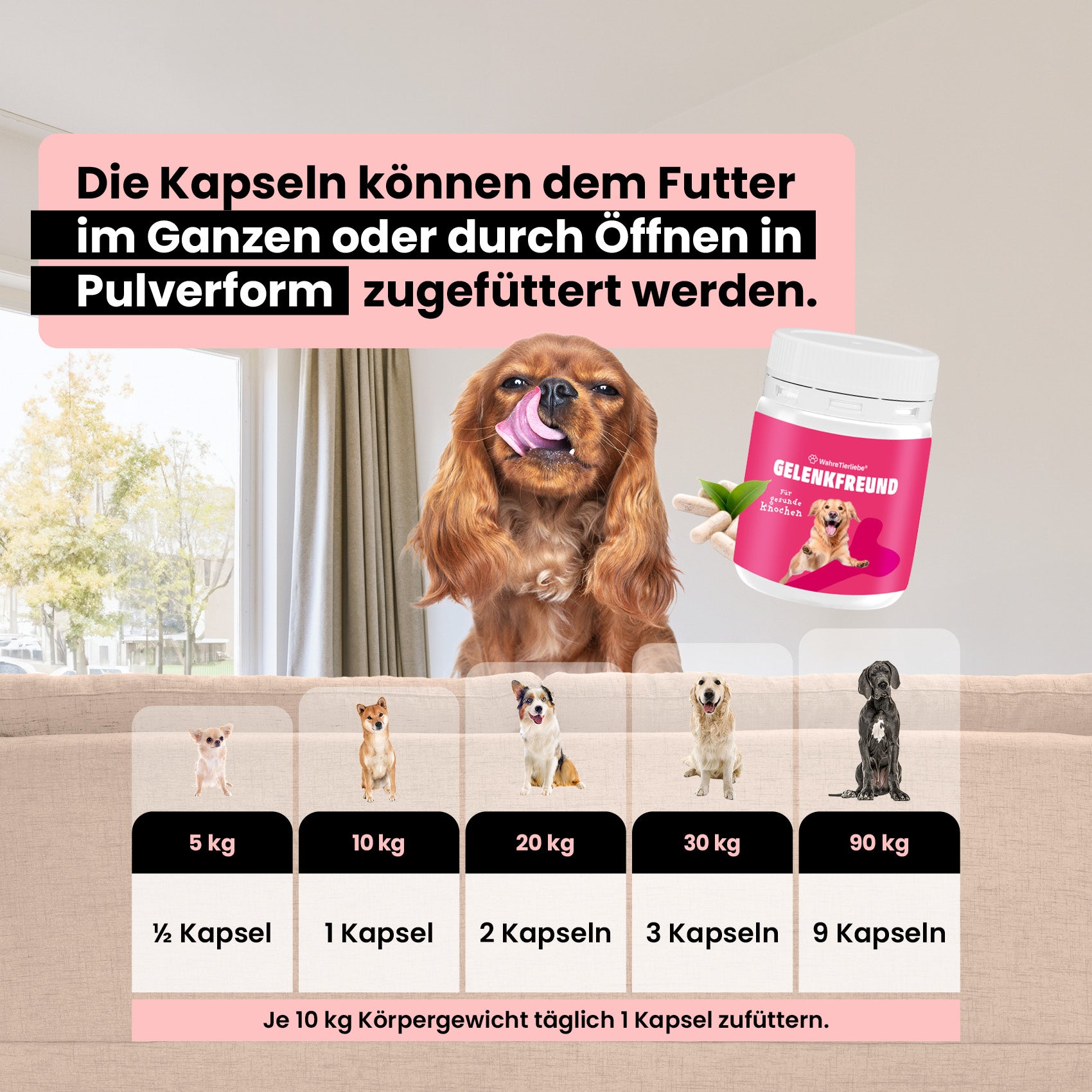 Premium Gelenktabletten