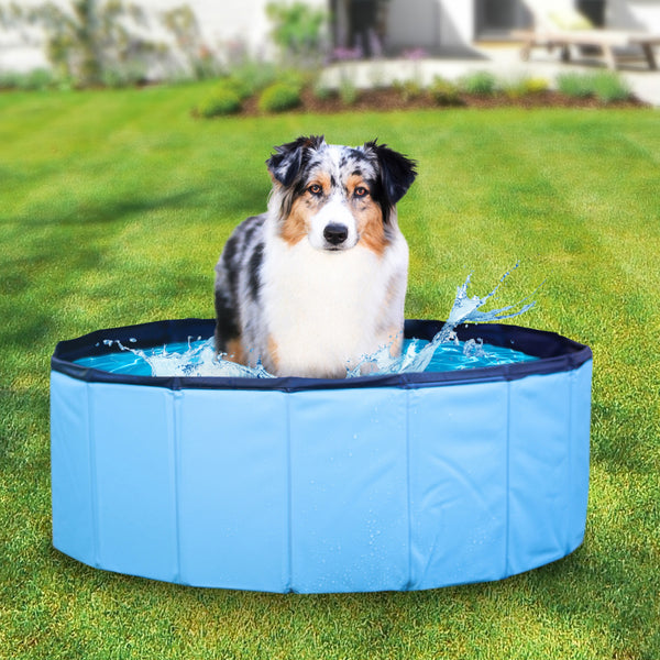 Premium Hunde Pool