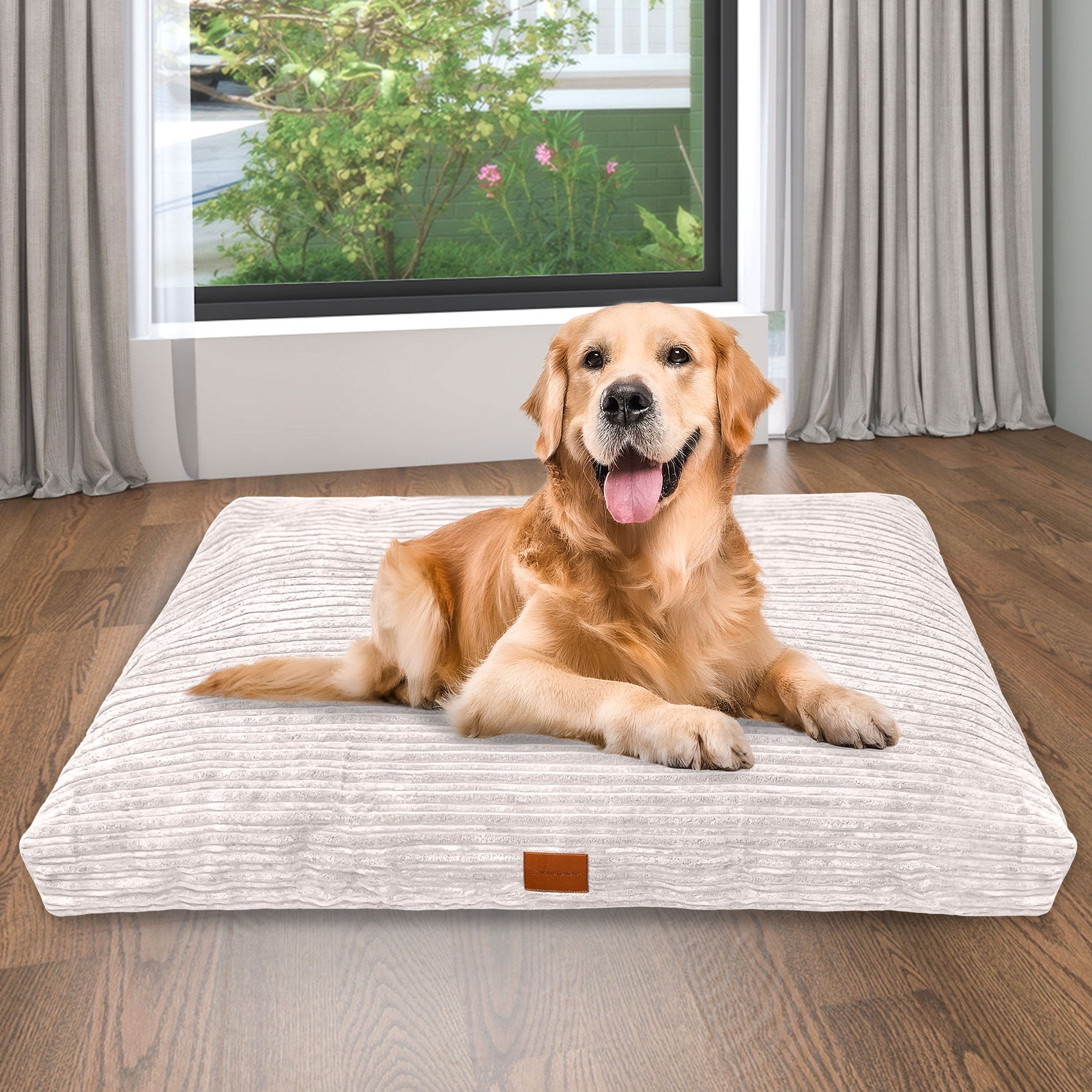 Premium Hundekissen "Cozy"