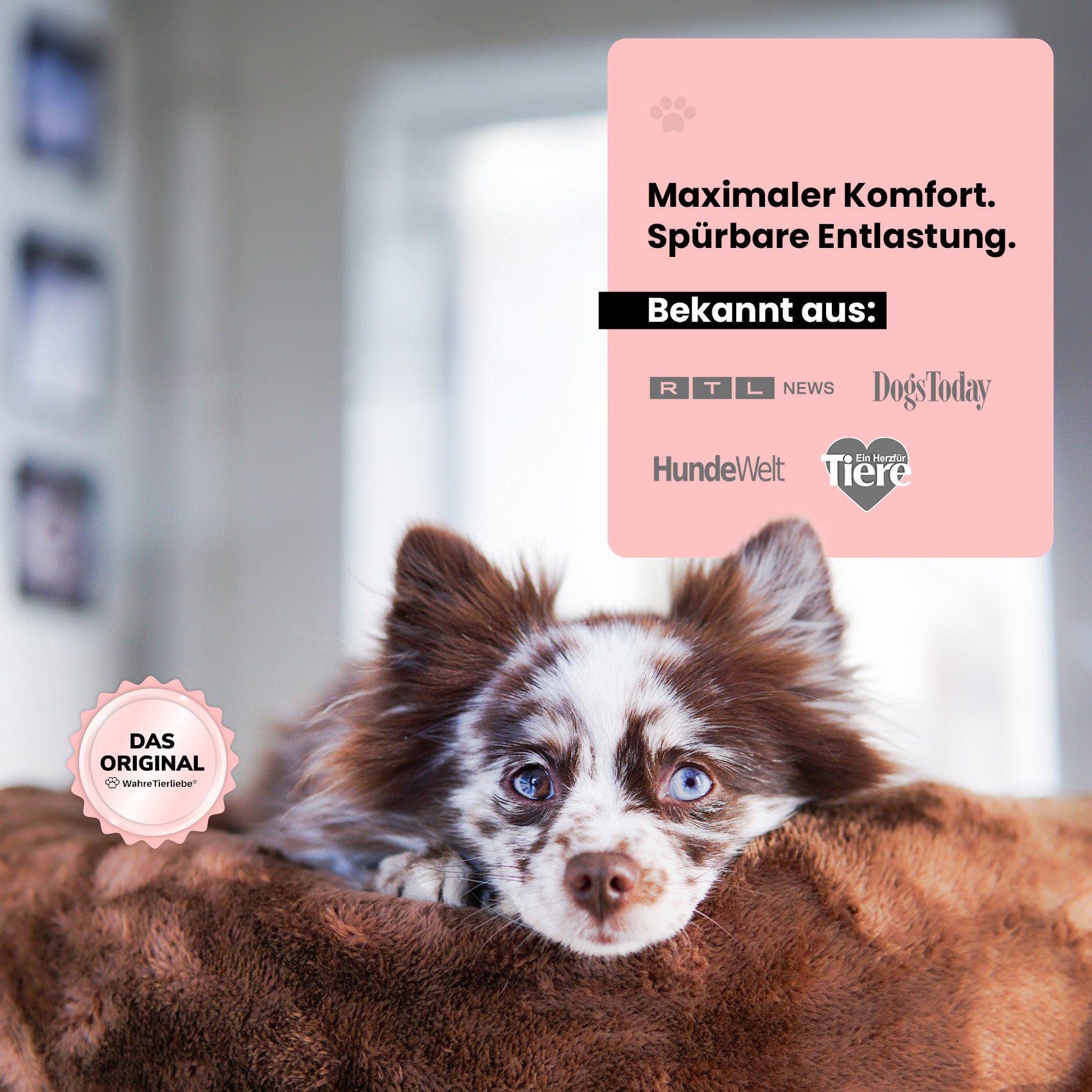 Premium Hundebett Fluffy Deluxe