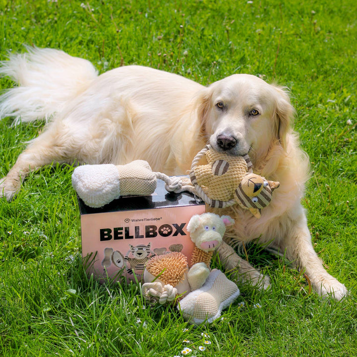 Bellbox - All in One Hunde Spielzeugbox