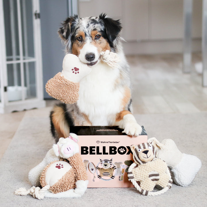 Bellbox - All in One Hunde Spielzeugbox