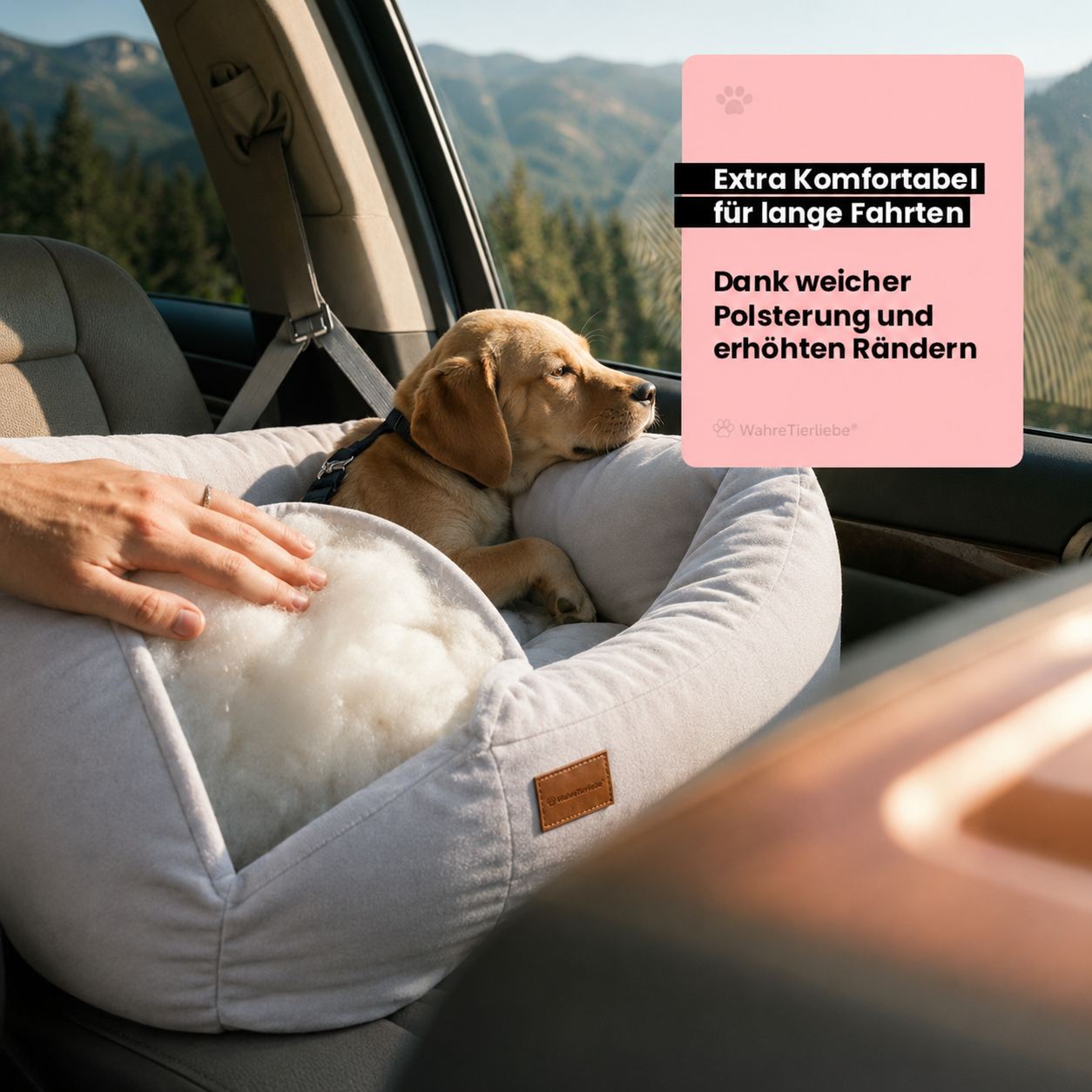 Orthopädischer Hunde Autositz inkl. Gurt