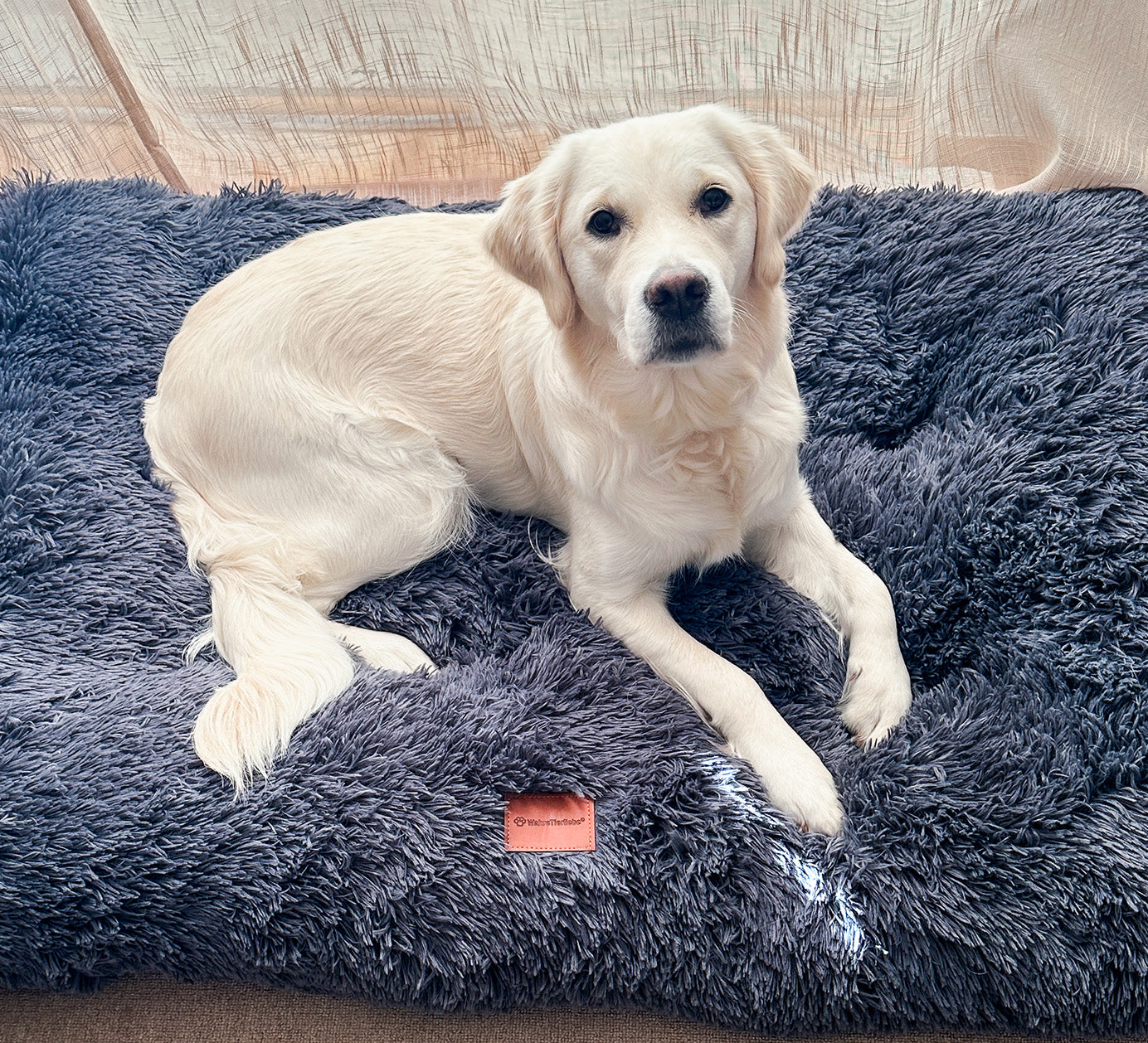 Premium Hundekissen "Fluffy"