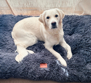 Premium Hundekissen "Fluffy"