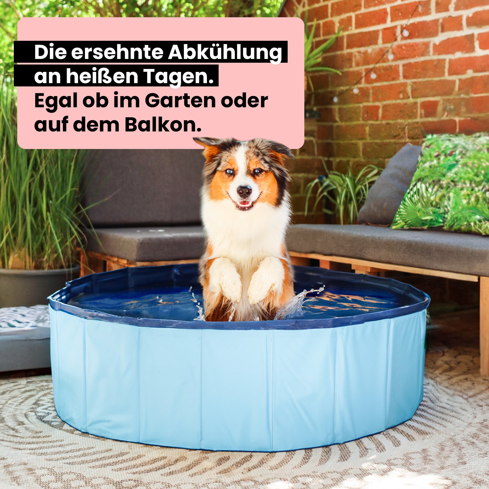 Premium Hunde Pool - WahreTierliebe®