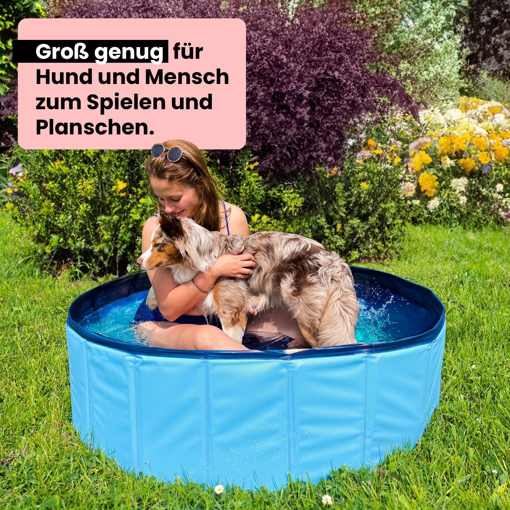 Premium Hunde Pool - WahreTierliebe®