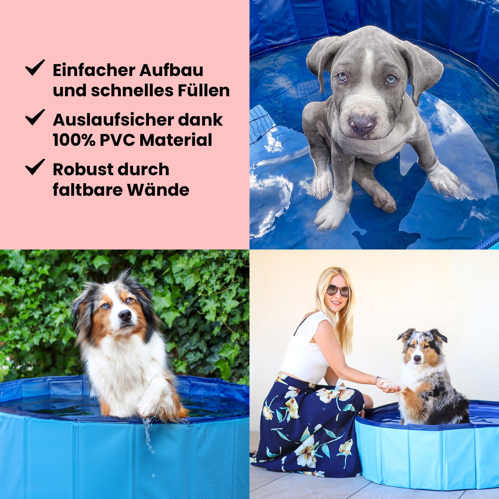Premium Hunde Pool - WahreTierliebe®