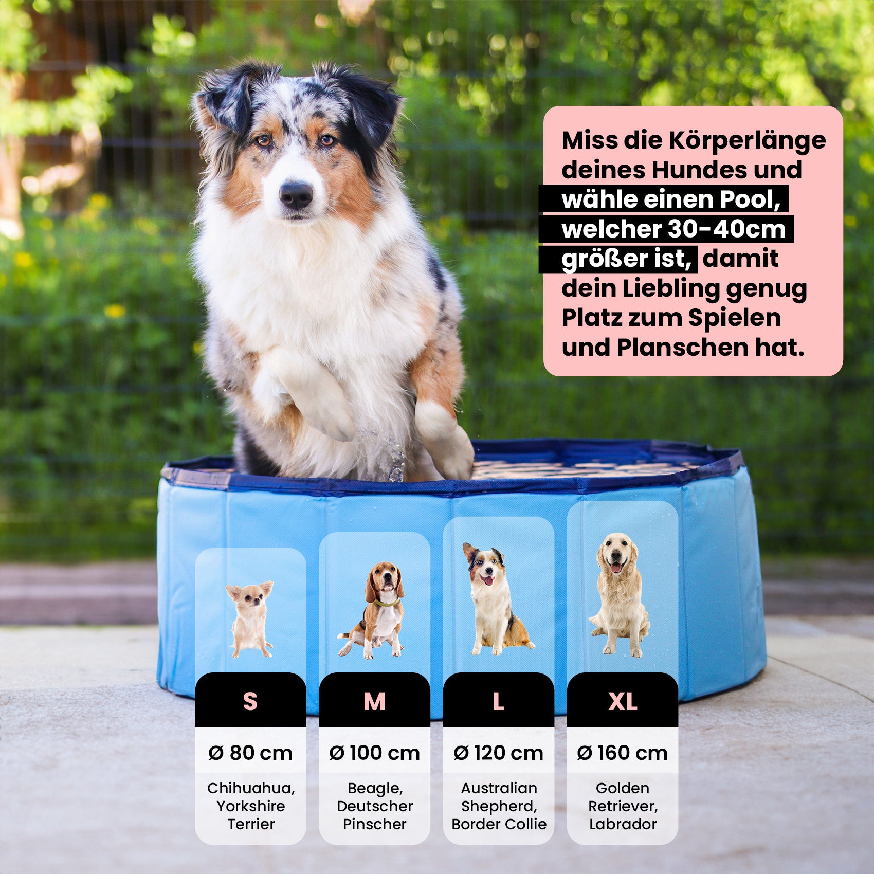 Premium Hunde Pool - WahreTierliebe®