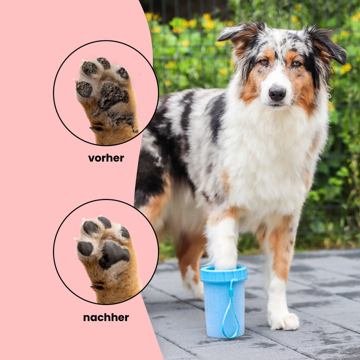 Praktischer Pfotenreiniger