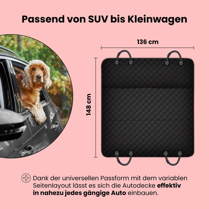 Auto Rückbankschutz