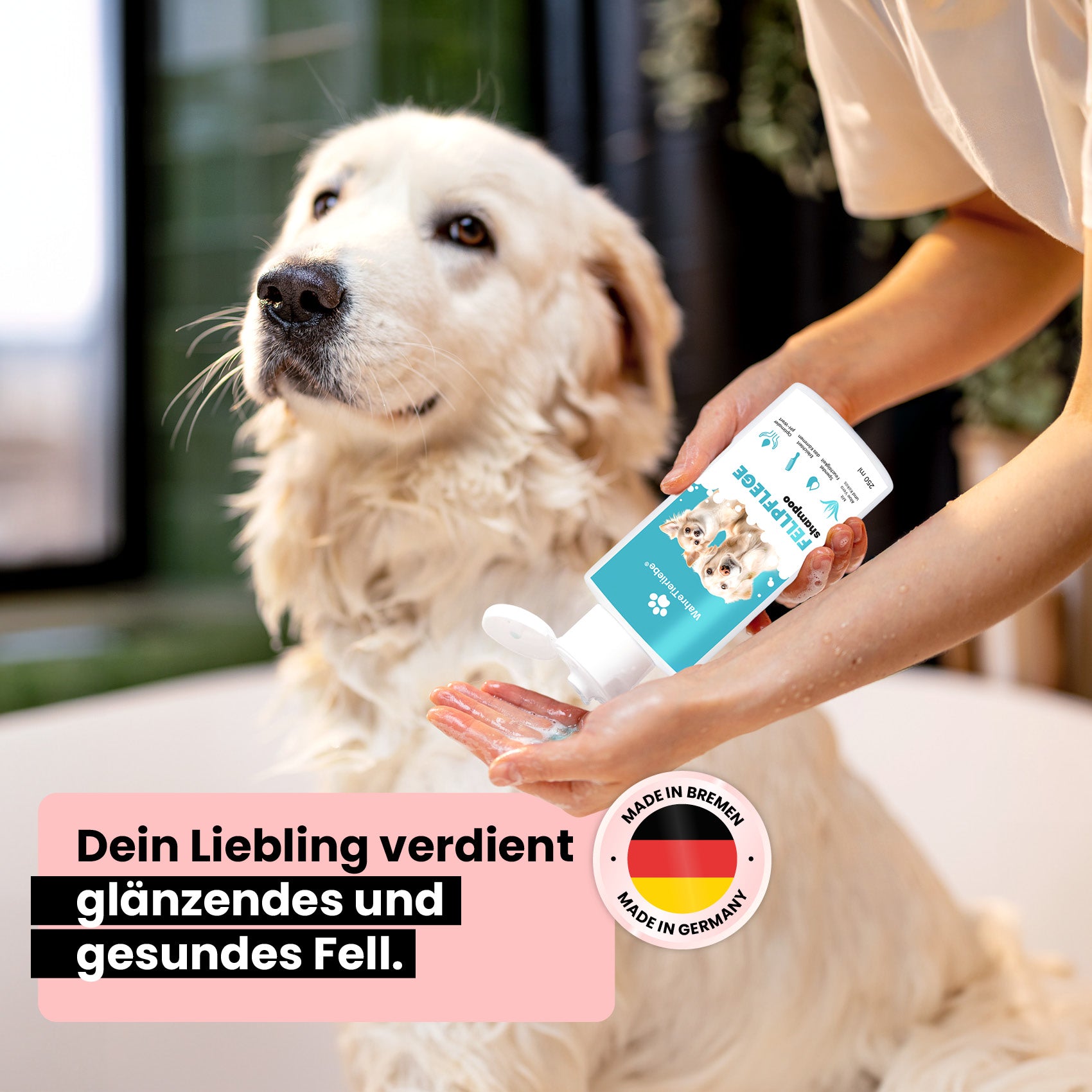 Premium Hunde Shampoo
