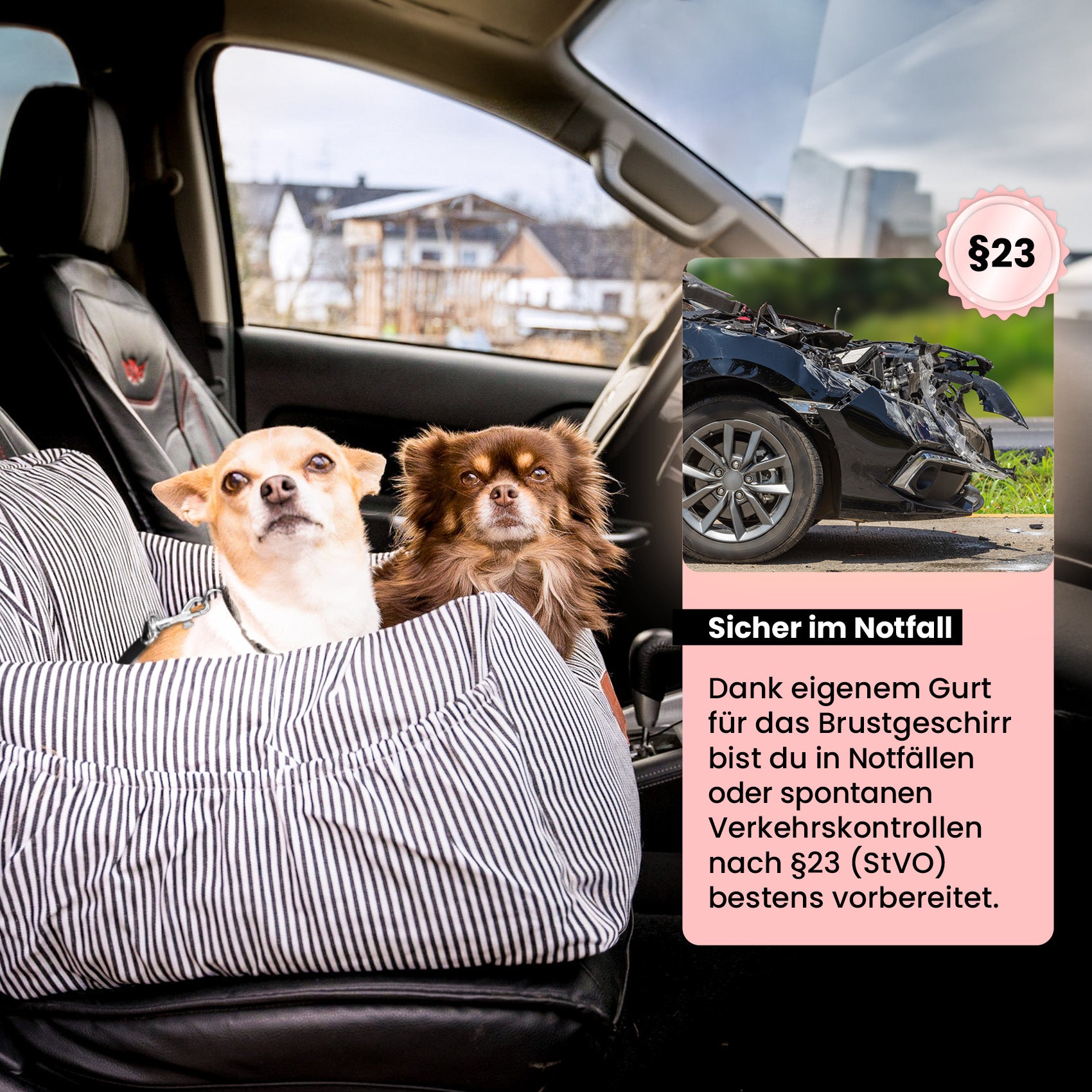 Premium Hunde Autositz inkl. Sicherheitsgurt