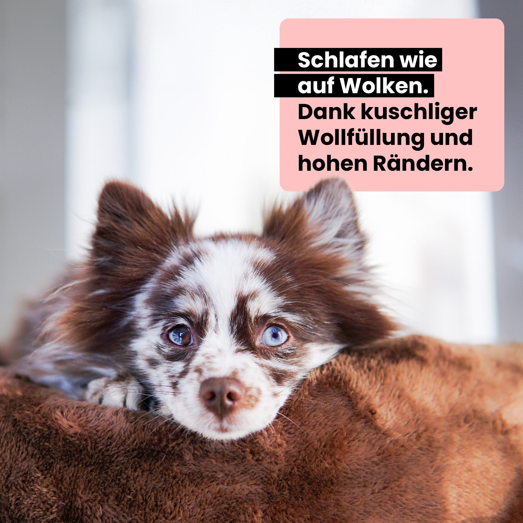 Premium Hundebett Fluffy Deluxe