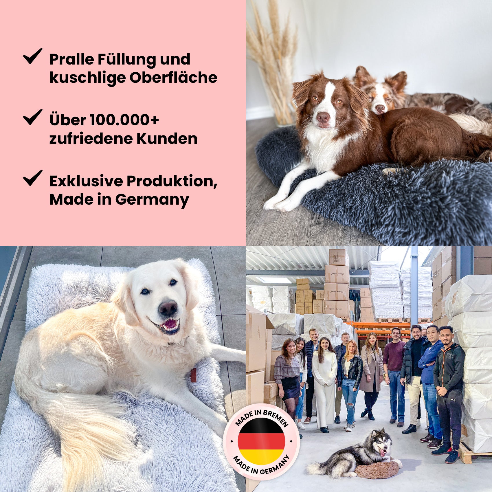Premium Hundekissen "Fluffy"