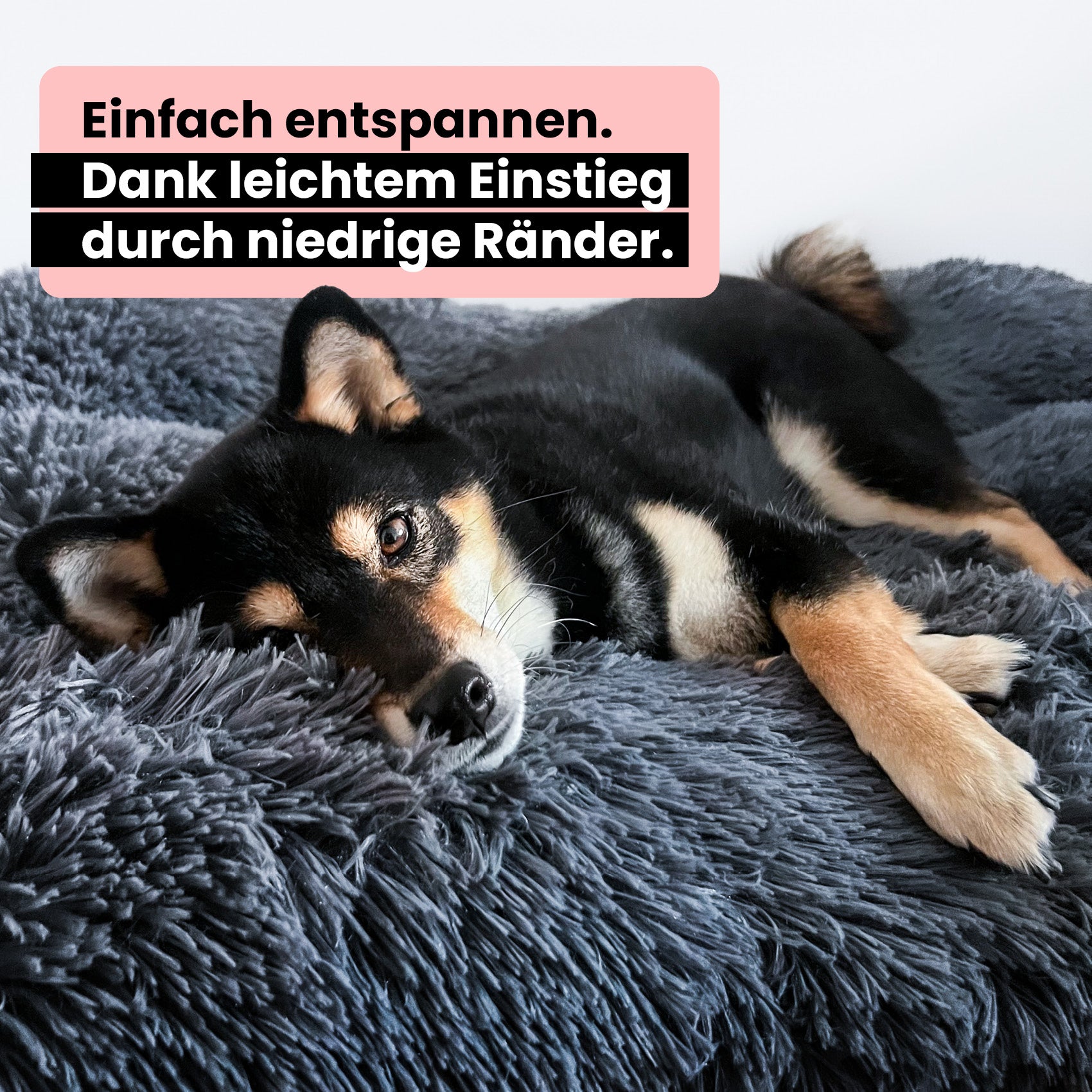 Premium Hundekissen "Fluffy"