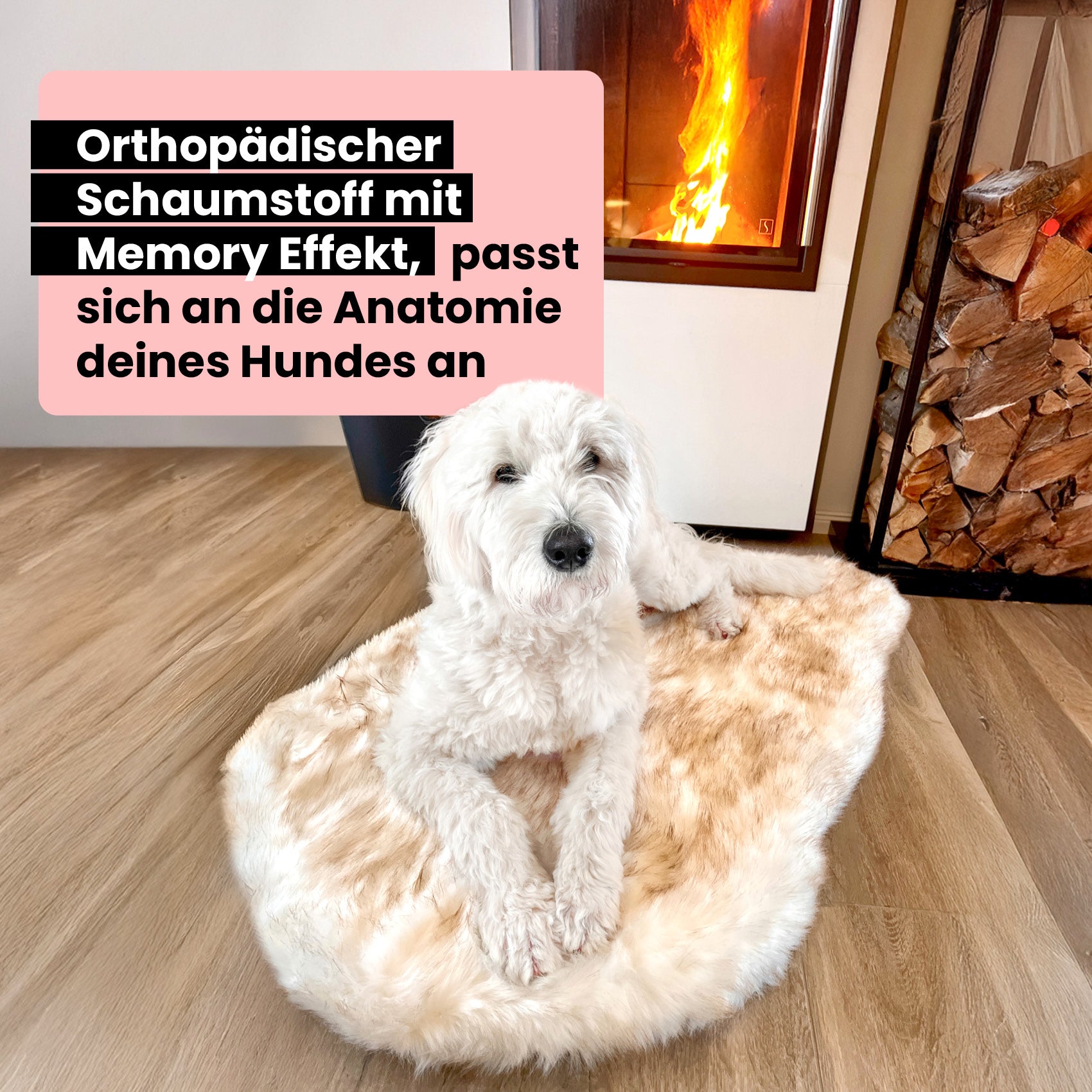Orthopädisches Hundebett "Relax"