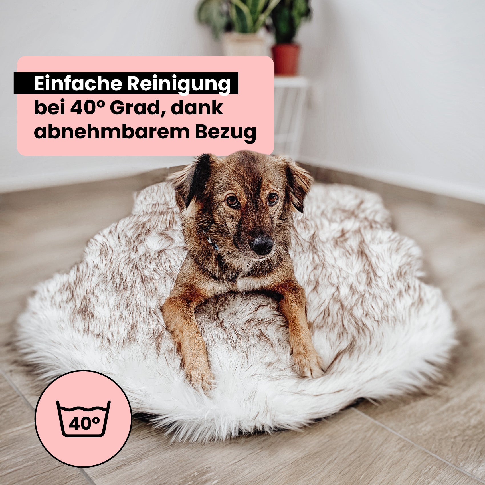 Orthopädisches Hundebett "Relax"