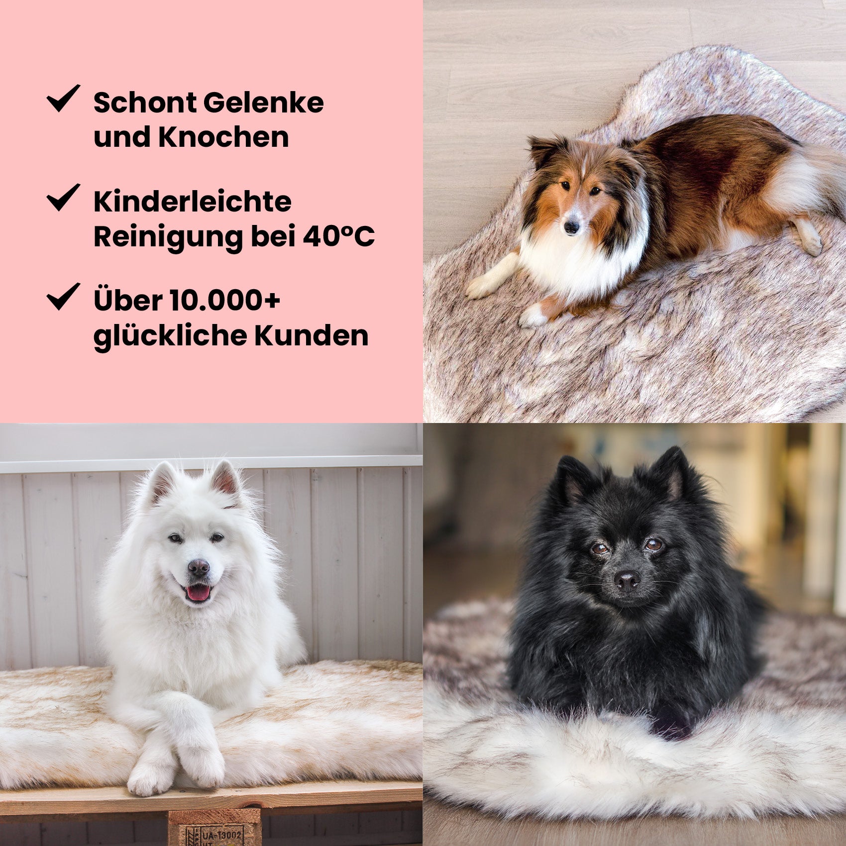 Orthopädisches Hundebett "Relax"