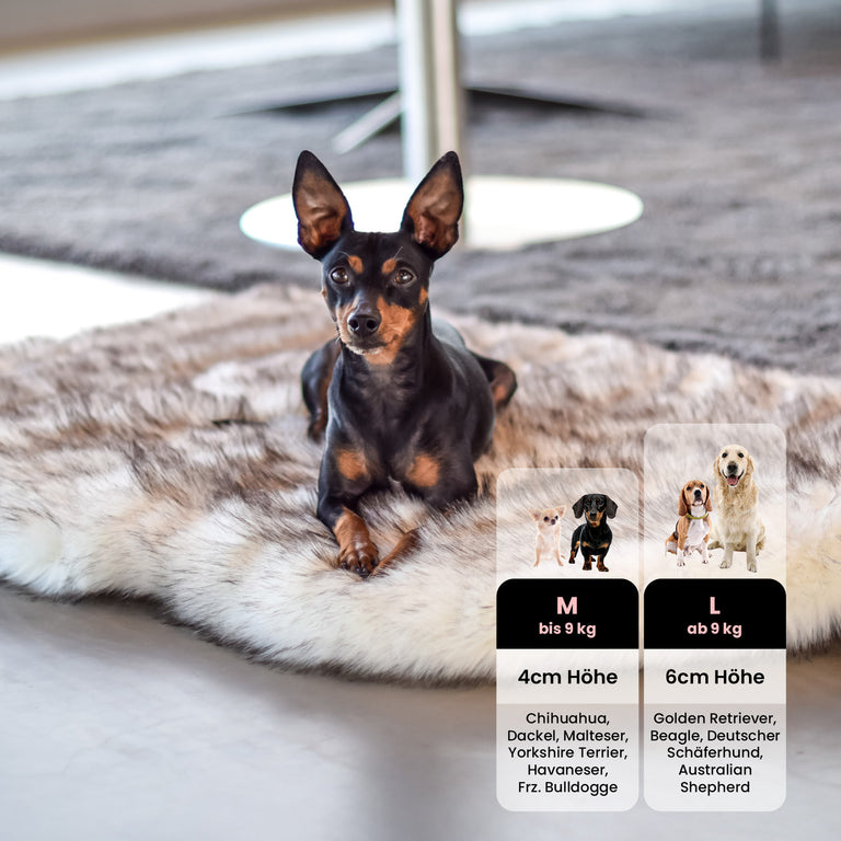 Orthopädisches Hundebett 