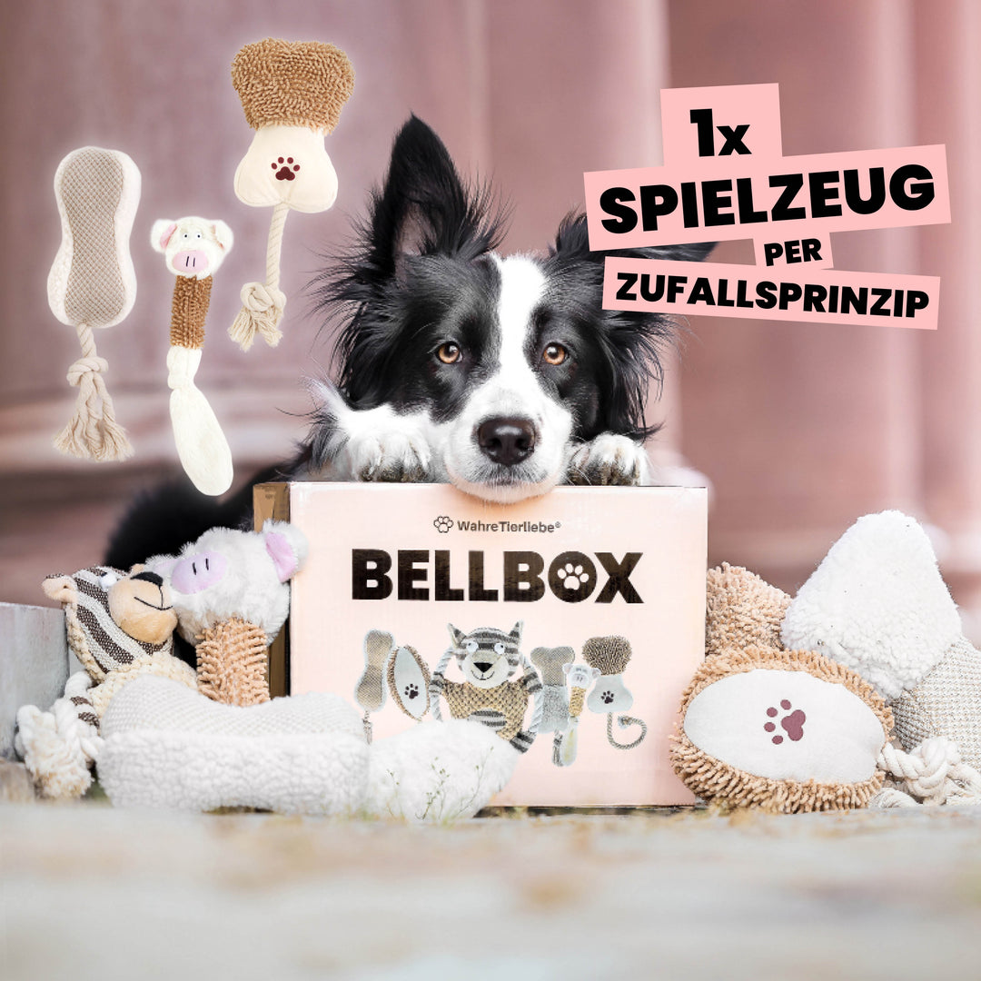 Premium Hundespielzeug – Sinnvolle Beschäftigung für glückliche Hunde