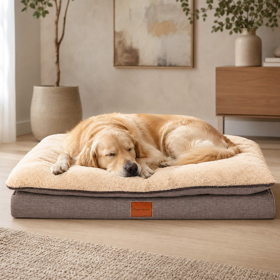 Orthopädisches Hundekissen "Easy"