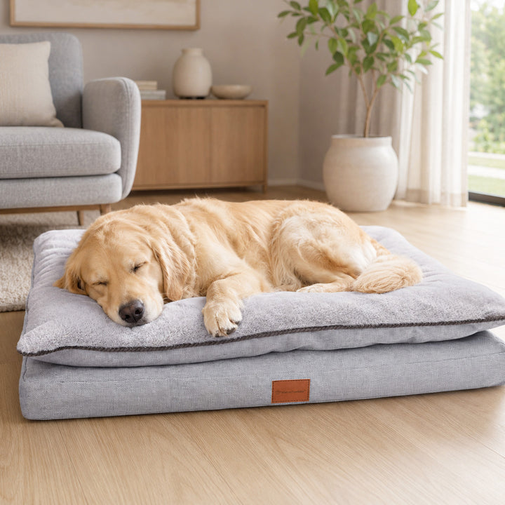 Orthopädisches Hundekissen "Easy"