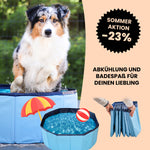 Premium Hundepool - WahreTierliebe®