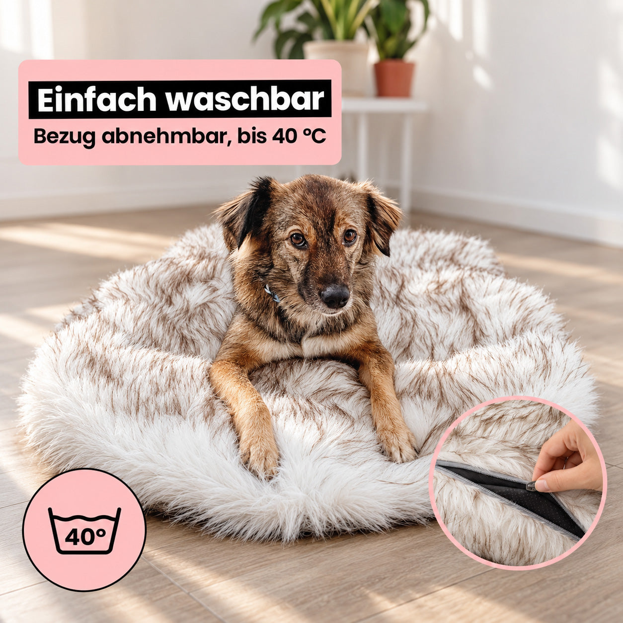 Orthopädisches Hundebett - Relax
