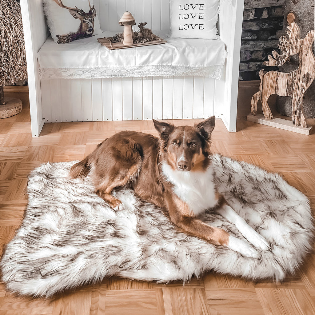 Orthopädisches Hundebett - Relax
