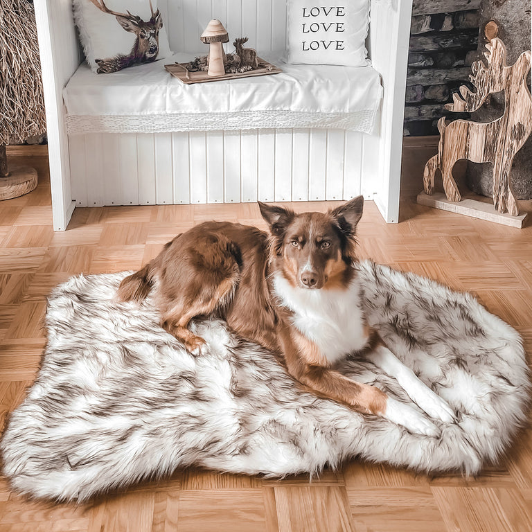 Orthopädisches Hundebett 