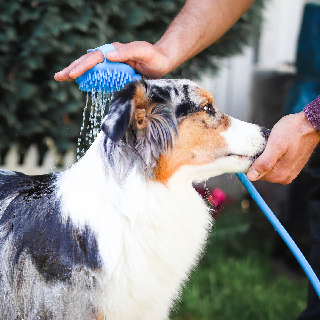 Hunde Duschkopf inkl. Schlauch
