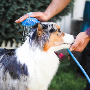 Hunde Duschkopf inkl. Schlauch