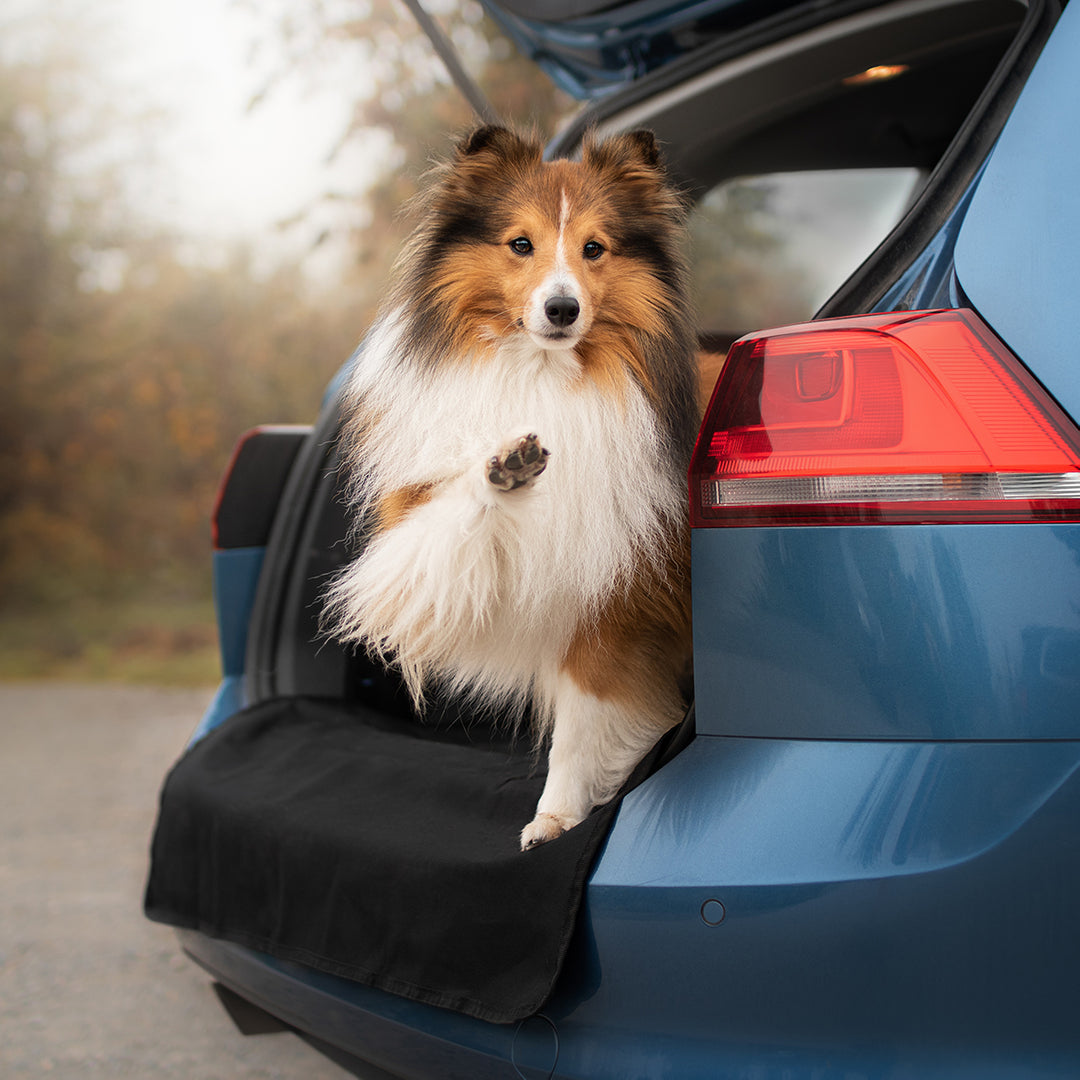 Universal XL Kofferraumschutz für Hund mit Ladekantenschutz, Napf