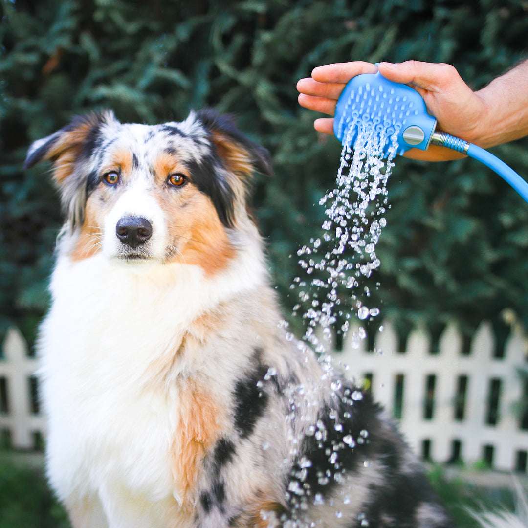 Hunde Duschkopf inkl. Schlauch